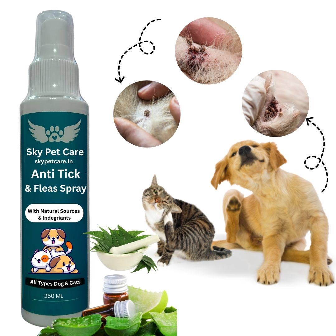 Pets Products