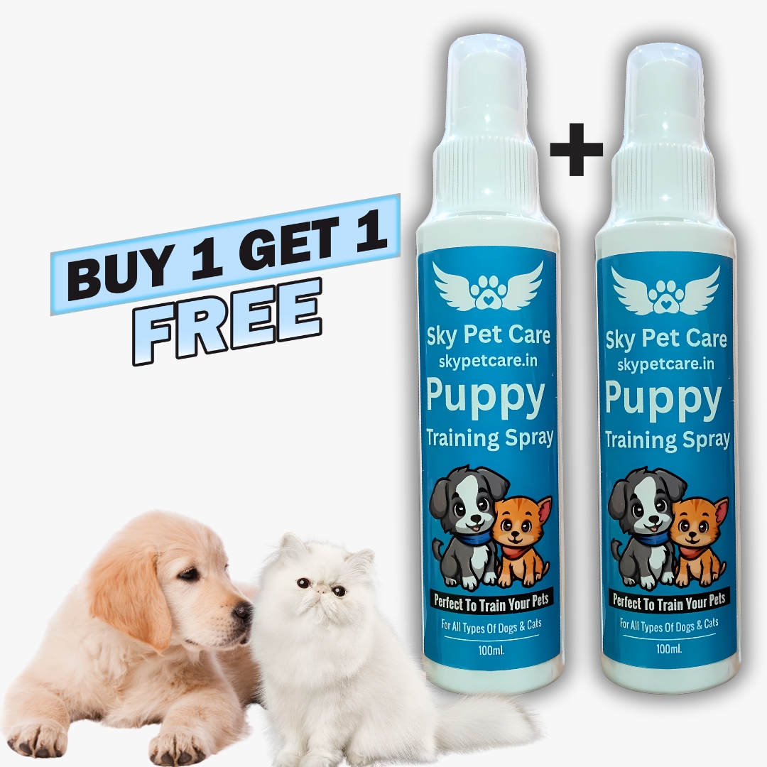 Cats Products